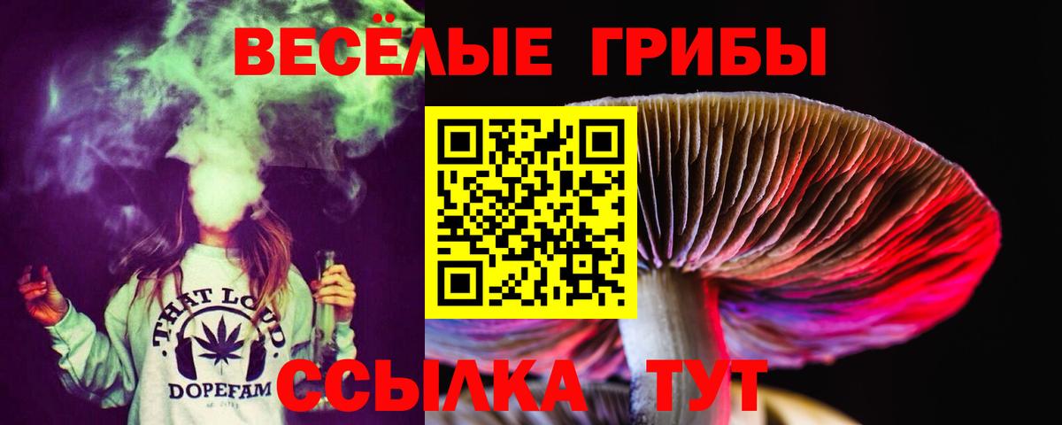 Галлюциногенные грибы Cubensis Мичуринск
